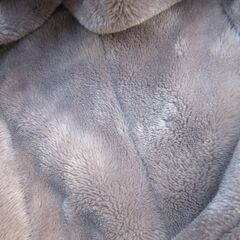 ふわふわ柔らか毛布　厚み普通　ブランケット　未使用　シングル　ベージュの画像