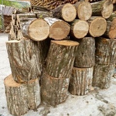 楢、小楢、原木玉切販売
の画像