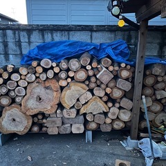 楢、小楢、原木玉切販売
の画像