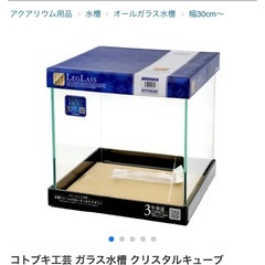 【お話し合い中】中古、訳あり、コトブキ30センチキューブ水槽Bの画像