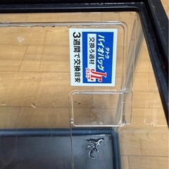 中古 テトラミニ水槽の画像