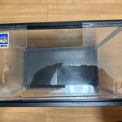 中古 テトラミニ水槽の画像