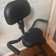 ステディ　エアロバイクの画像