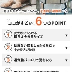 新品未使用【いぬのきもち】2025年9月号ペットキャリーリュックの画像