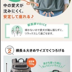 新品未使用【いぬのきもち】2025年9月号ペットキャリーリュックの画像