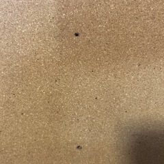 コルクボードの画像