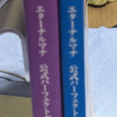 ゲーム攻略本（PS2） イリスのアトリエ エターナルマナ  公式パーフェクトガイド　全2冊セットの画像