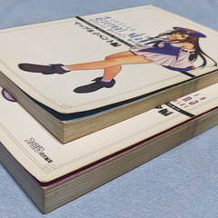 ゲーム攻略本（PS2） イリスのアトリエ エターナルマナ  公式パーフェクトガイド　全2冊セットの画像