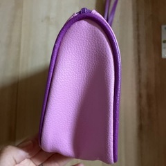 プリンセスポーチ✴︎の画像