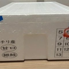 発泡スチロール　容器の画像