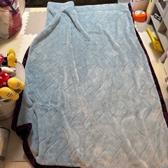 毛布と掛け布団のセット　0円(無料) 練馬　取りに来れる方の画像