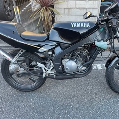 DOGFIGHTチャンバー！実働！TZR50R 4EU の画像