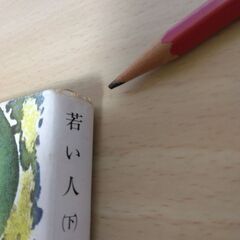 『若い人（下）』石坂洋次郎　新潮文庫の画像