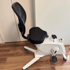 早い者勝ち！！！FlexiSpot Sit2Go エアロバイクの画像