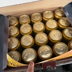 ヱビスビール 缶セット YE5DT 1ケース　20本　350ml  サッポロ エビスビール⭐︎受渡者決定⭐︎の画像