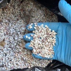 水槽の砂利（今年中に処分予定）の画像