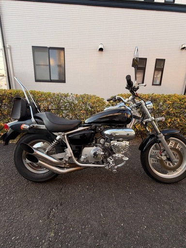 マグナ50