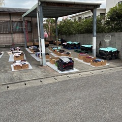 今日　年内最後のお洋服詰め放題セール開催しますの画像