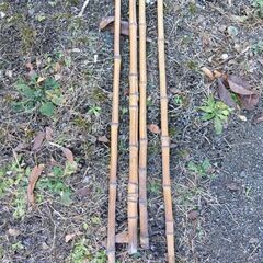竹竿4本の画像