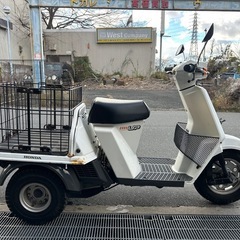 ホンダ　ジャイロUP TA01 3輪スクーターの画像