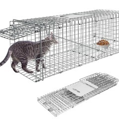 捕獲機レンタルします🤲