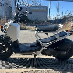 ホンダ　ズーマー50 AF58 原付　大阪　4ストの画像