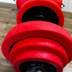 ダンベル（20kg×2）の画像
