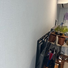 ジャンク　有機EL 55型　Panasonic パナソニック の画像