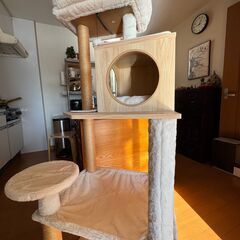 キャットタワー（ぺテぺラ）お譲りいたしますの画像