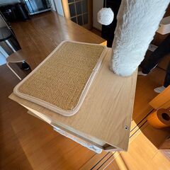 キャットタワー（ぺテぺラ）お譲りいたしますの画像