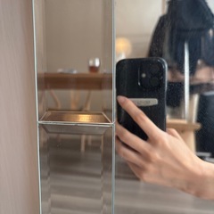 ニトリ　ミラーの画像