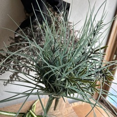 フェイクグリーンの画像