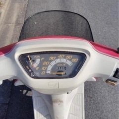 本日のみ!AF18 Dioの画像