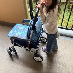 花柄シルバーカーの画像