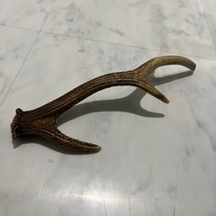 鹿の角　漢方　  犬の歯磨き　おもちゃの画像