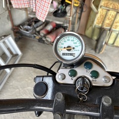 グラストラッカービッグボーイです。の画像