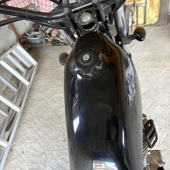 グラストラッカービッグボーイです。の画像