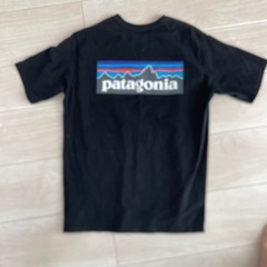 パタゴニア　M Tシャツの画像