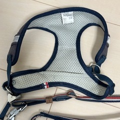 中型犬用 EZYDOG(イージードッグ)等ハーネスリード4点セットの画像