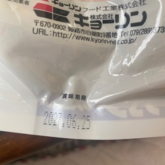 大きな亀の餌の画像