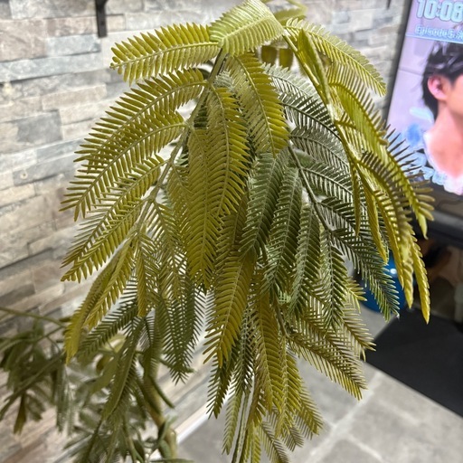 【定価4万・美品】大型フェイクグリーン（高さ150cm）お手入れ不要！早期取引希望