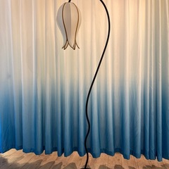 ロータス　スタンドライトの画像