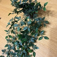 IKEA吊り下げ式フェイクグリーンの画像