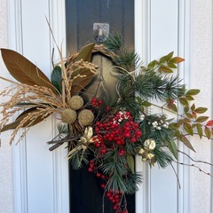 五葉松の枝差し上げます。の画像