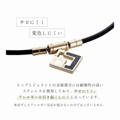 🔴【明日処分予定】 ネックレスの画像