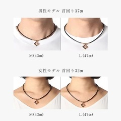 🔴【明日処分予定】 ネックレスの画像