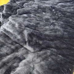 ニトリ　Nウォーム　シングル毛布の画像