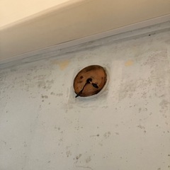 お風呂電気修理の画像