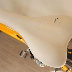 Bianchi Camaleonte Sport 1 uno ビアンキ カメレオンテ1　イエローの画像