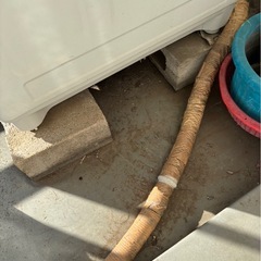 洗濯機4.2kgの画像